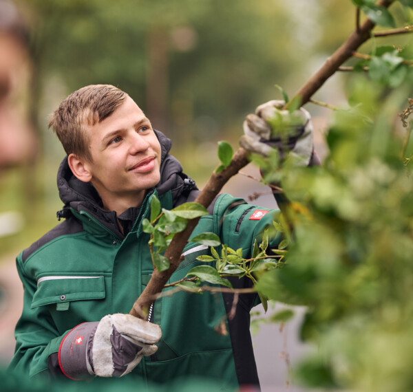 Gärtner arbeitet im Grünen