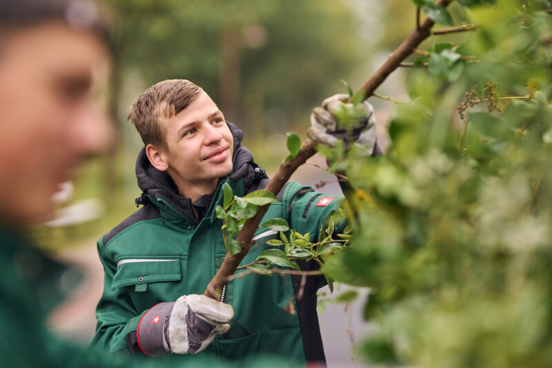 Gärtner arbeitet im Grünen